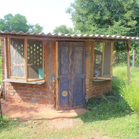 Beyond Community Lägenhet Auroville Exteriör bild