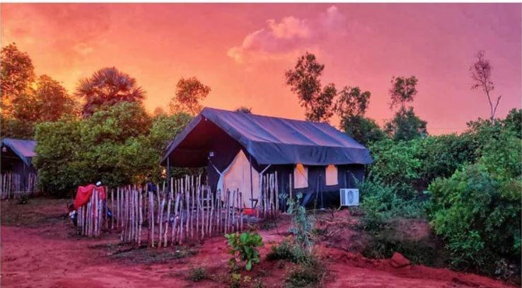 Beyond Community Lägenhet Auroville Exteriör bild