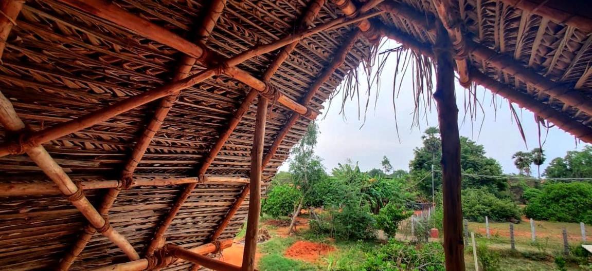 Beyond Community Lägenhet Auroville Exteriör bild