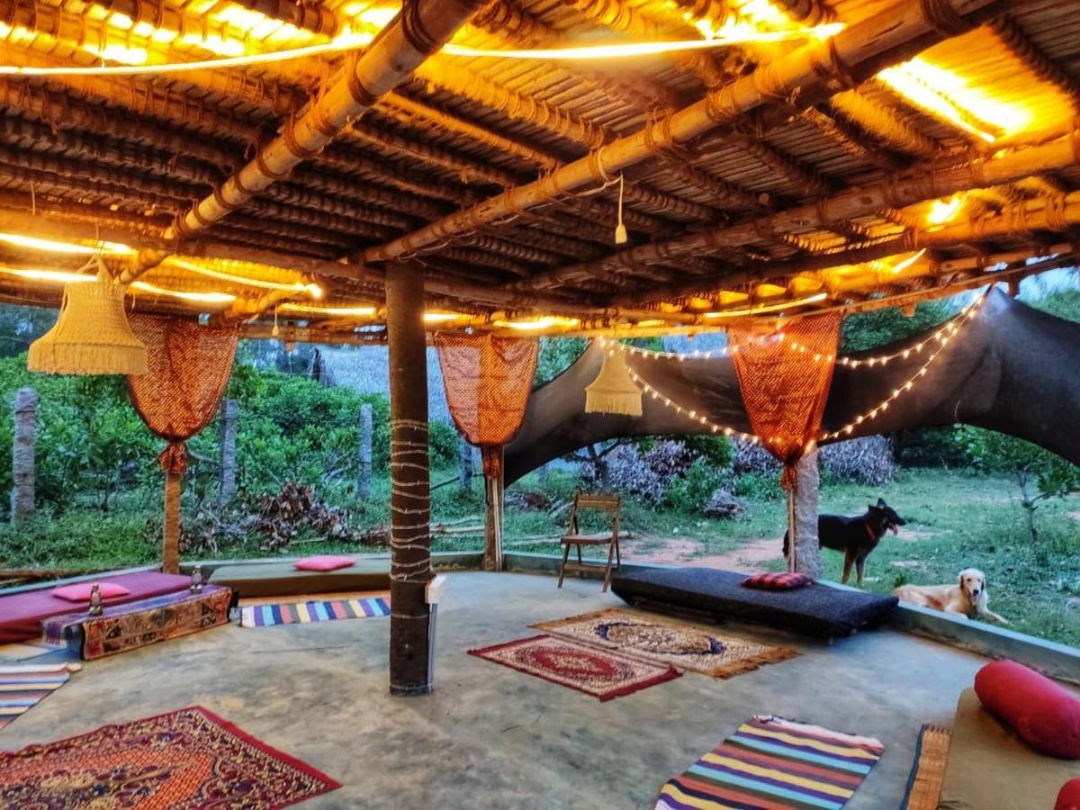 Beyond Community Lägenhet Auroville Exteriör bild