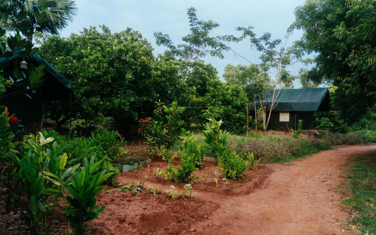 Beyond Community Lägenhet Auroville Exteriör bild