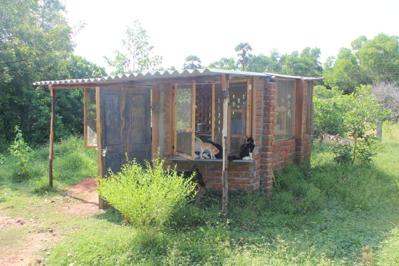Beyond Community Lägenhet Auroville Exteriör bild