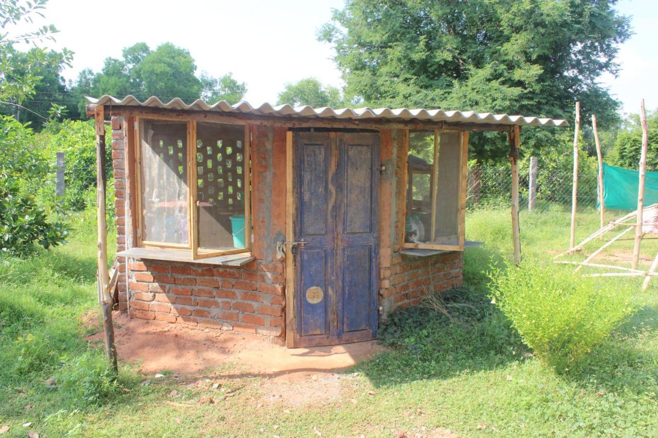 Beyond Community Lägenhet Auroville Exteriör bild